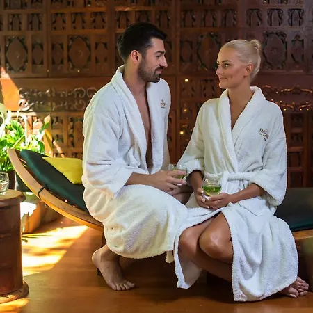 Farmona Business&spa 3*