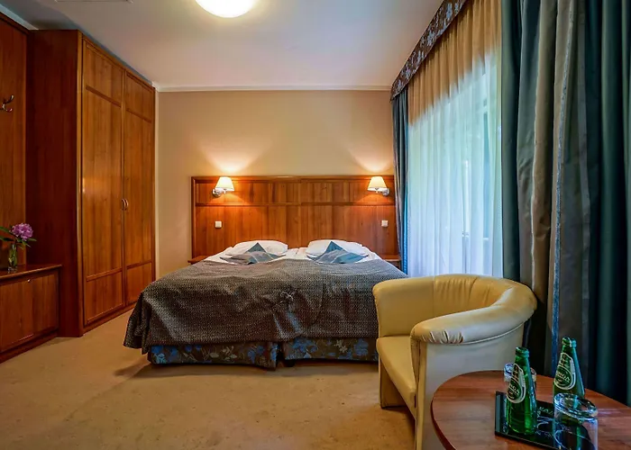 Farmona Business&spa Hotel 3*