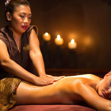 호텔 파르모나 비즈니스&스파 3*